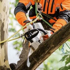 Tronçonneuse D'élagage à Batterie MSA 161 T (sans Batterie Ni Chargeur) 30cm - STIHL - 1252-200-0044 -Weber Boutique AFD 101758