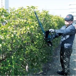 Taille-haie 18V Makita DUH602Z 60 Cm (Sans Batterie Ni Chargeur) -Weber Boutique AFD 109717