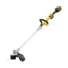 Coupe-bordures Repliable XR 18V Dewalt DCMST561P1 + Batterie 5 Ah + Chargeur