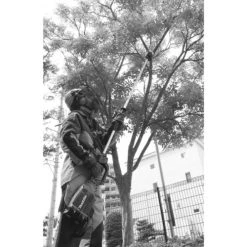 Tronçonneuse élagueuse à Perche 36 V (2x18 V) 30 Cm (sans Batterie Ni Chargeur) - MAKITA - DUA300Z -Weber Boutique AFD 144434