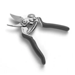 Sécateur Coupe Franche Outils Wolf