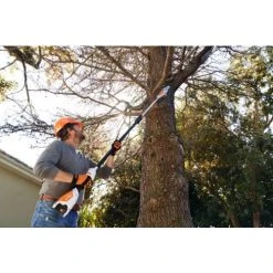 Perche élagueuse à Batterie Stihl HTA 50 + Batterie AK20 + Chargeur AL 101 8 Perche élagueuse à Batterie Stihl HTA 50 + Batterie AK20 + Chargeur AL 101 -Weber Boutique AFD 152468