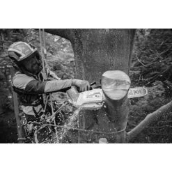 Tronçonneuse à Batterie Stihl MSA 220 T (machine Seule) Rollo E Light 35 Cm PS 3 3/8'' -Weber Boutique AFD 152487