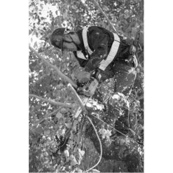 Tronçonneuse D'élagage Sans Fil 18V 25 Cm (sans Batterie Ni Chargeur) - MAKITA - DUC254Z -Weber Boutique AFD 78405